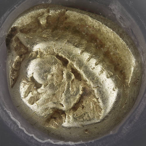 Post-Your-Coins-Representing-The-Animal-Kingdom.